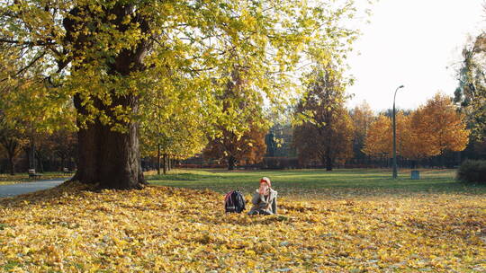 女学生拿着茶坐在秋叶上