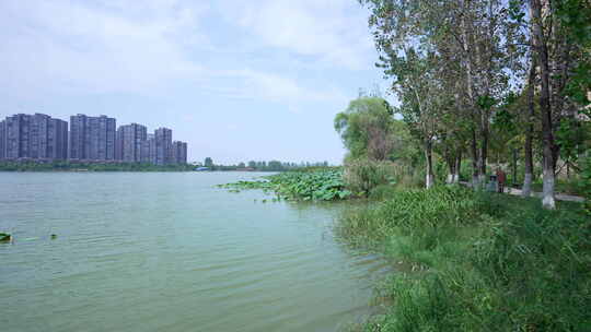 武汉江夏区汤逊湖壹号湿地公园