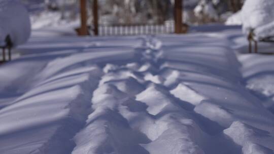 阿勒泰桦林公园雪景