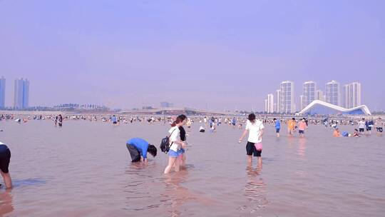 缤纷夏日