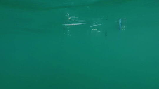 空塑料瓶漂浮在海水中