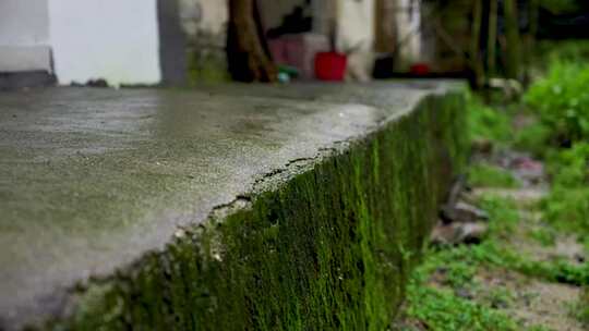 雨天山里旧建筑草木写实视频