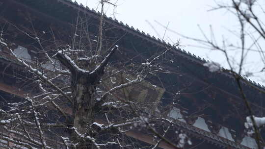 杭州径山寺中式古建筑寺庙雪景