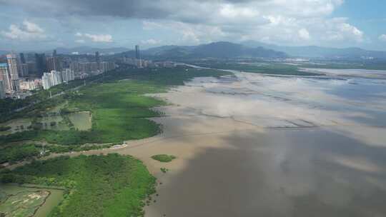 4K航拍深圳福田红树林湿地保护区