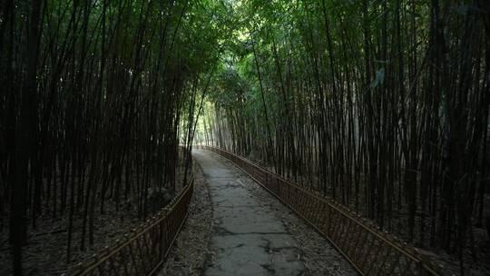 杭州西湖景区植物园