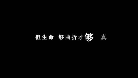 邓紫棋-新的心跳dxv编码字幕歌词