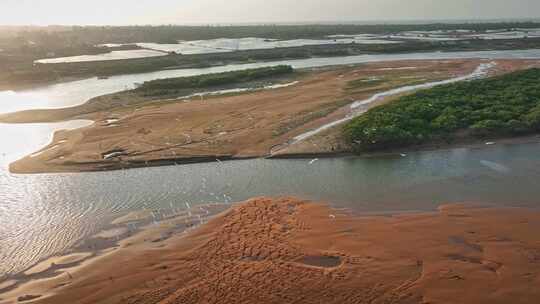 湛江乐民港红树林白鹭滩涂湿地保护区航拍