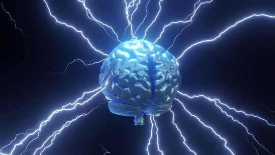 人体大脑开发智能工程