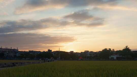 东莞同沙生态公园夜景湖光山色风光延时