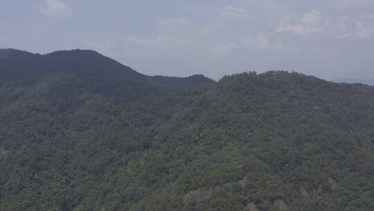 绿水青山视频素材模板下载