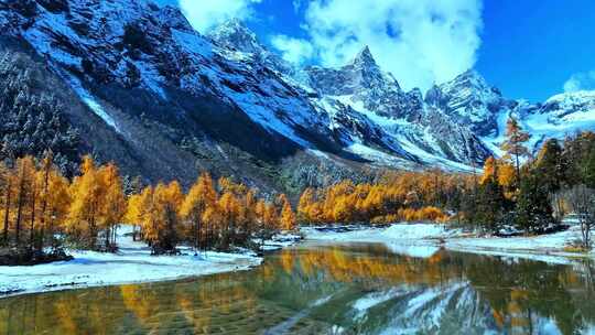 雪山下多彩树林与湖泊相映的美景