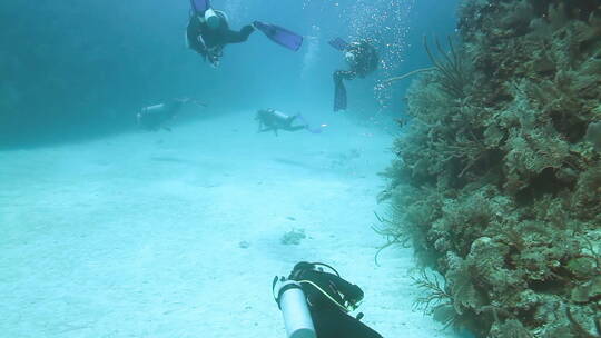 潜水员在水下潜水视频素材模板下载