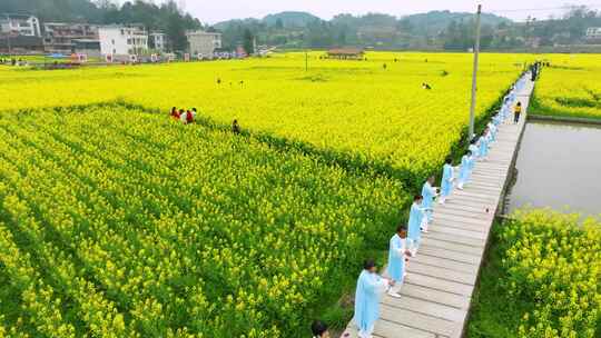 油菜花田中的人群活动场景