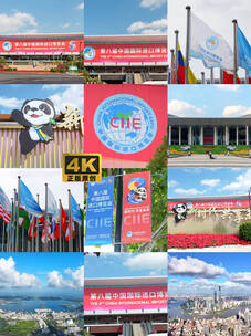 上海2025第八届中国国际进口博览会高清在线视频素材下载