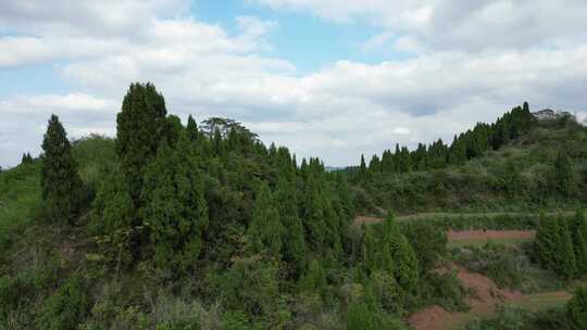 中国西南丘陵地区乡村土地山丘树林