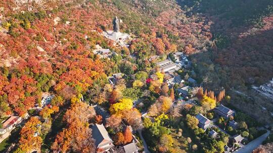 青岛崂山青岛秋景青岛太清宫航拍视频素材模板下载