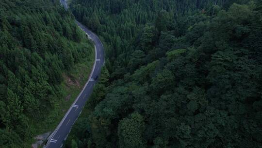 俯瞰山林盘山公路行车