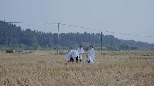 农田土壤研究现代农业育种基地