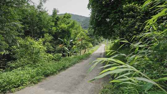 【正版素材】农村小路乡道乡村