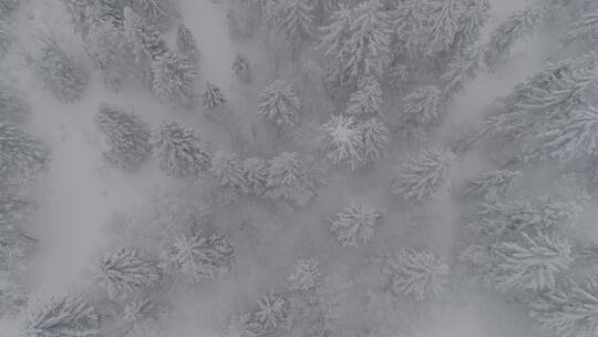 唯美长白山冬季原始森林老里克湖雪景航拍