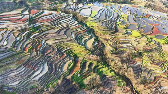 元阳梯田村落俯瞰全景