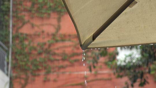 雨水 下雨 雨天 雨 细雨 下雨天 雨季