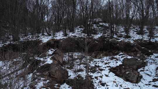 冬天 冬季 寒冷 凄凉 冷漠