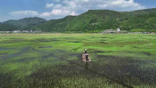 云南保山市腾冲北海湿地自然风光航拍