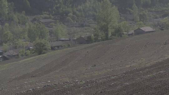 东北山区黑土地山坡地LOG视频素材模板下载