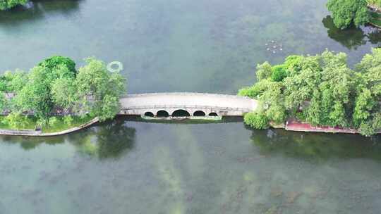 广州东山湖航拍城市公园视频素材模板下载