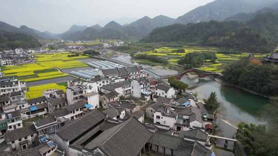 油菜花开 宣城市绩溪县龙川风光航拍素材