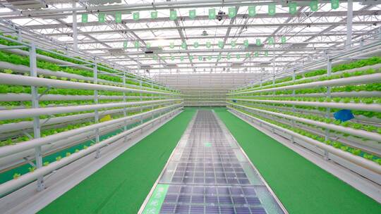 温室大棚现代化农业