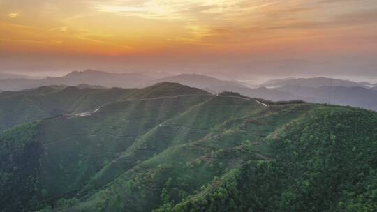 日出 山峦 朝阳  茶园 希望