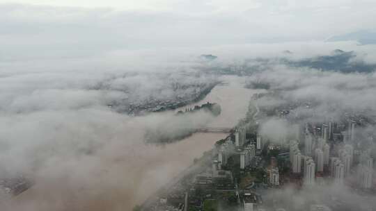 2024年6月下旬黄山市暴雨后洪水来袭