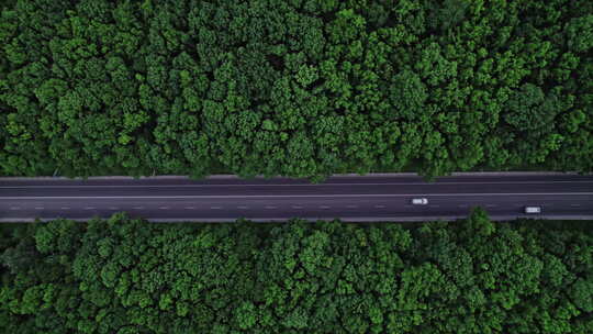 汽车行驶在平行的森林道路上