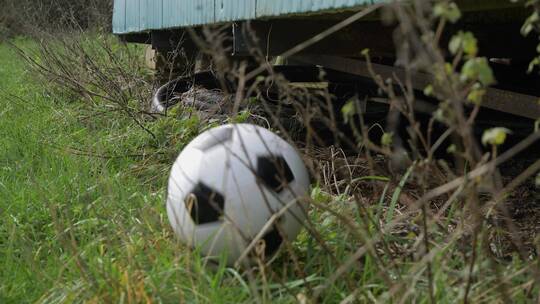 足球被扔到小屋前的慢镜头