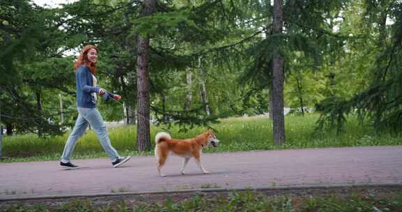 柯基犬，狗，宠物，女人