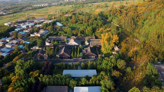 西安古观音禅寺千年银杏树