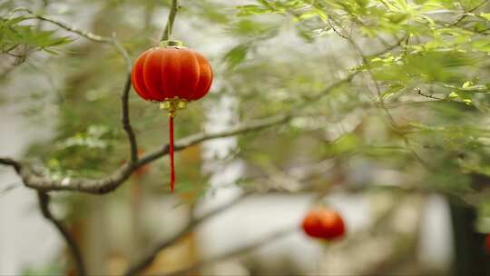 家门口灯笼红灯笼乡村农村过年春节新年氛围