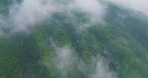 浙江安吉江南竹海高山云海航拍