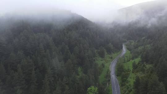 大山山路蜿蜒山路云雾仙境