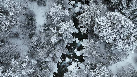 4K航拍俯视冰雪里的山间溪流原始森林