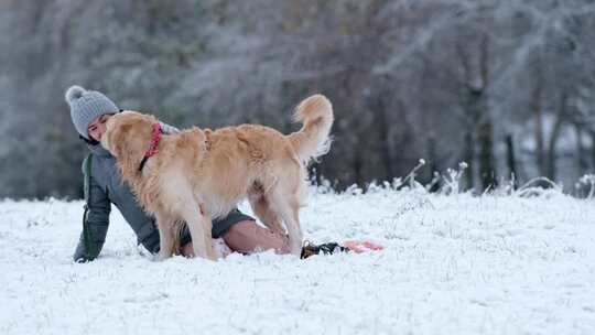 女孩在雪地上抚摸她的金毛猎犬