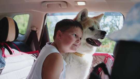微笑的小男孩拥抱秋田犬坐在后座的车里
