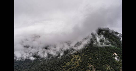 西藏林芝大山延时山雾4K