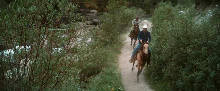 牛仔，马，骑马，山