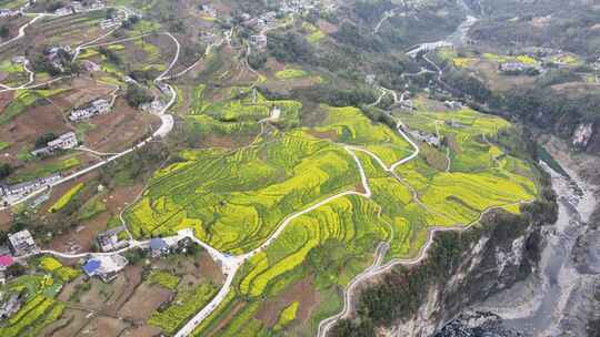 湖北恩施5A景区大峡谷绝壁花海航拍