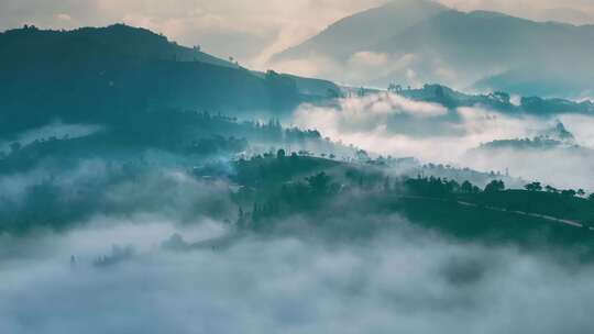 航拍云雾中的茶山