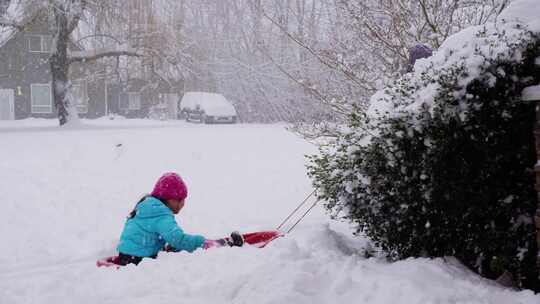 孩子们和他们的狗在雪地里玩耍