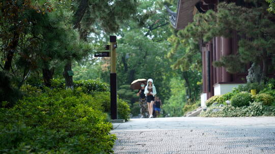 武汉武昌区黄鹤楼公园风景